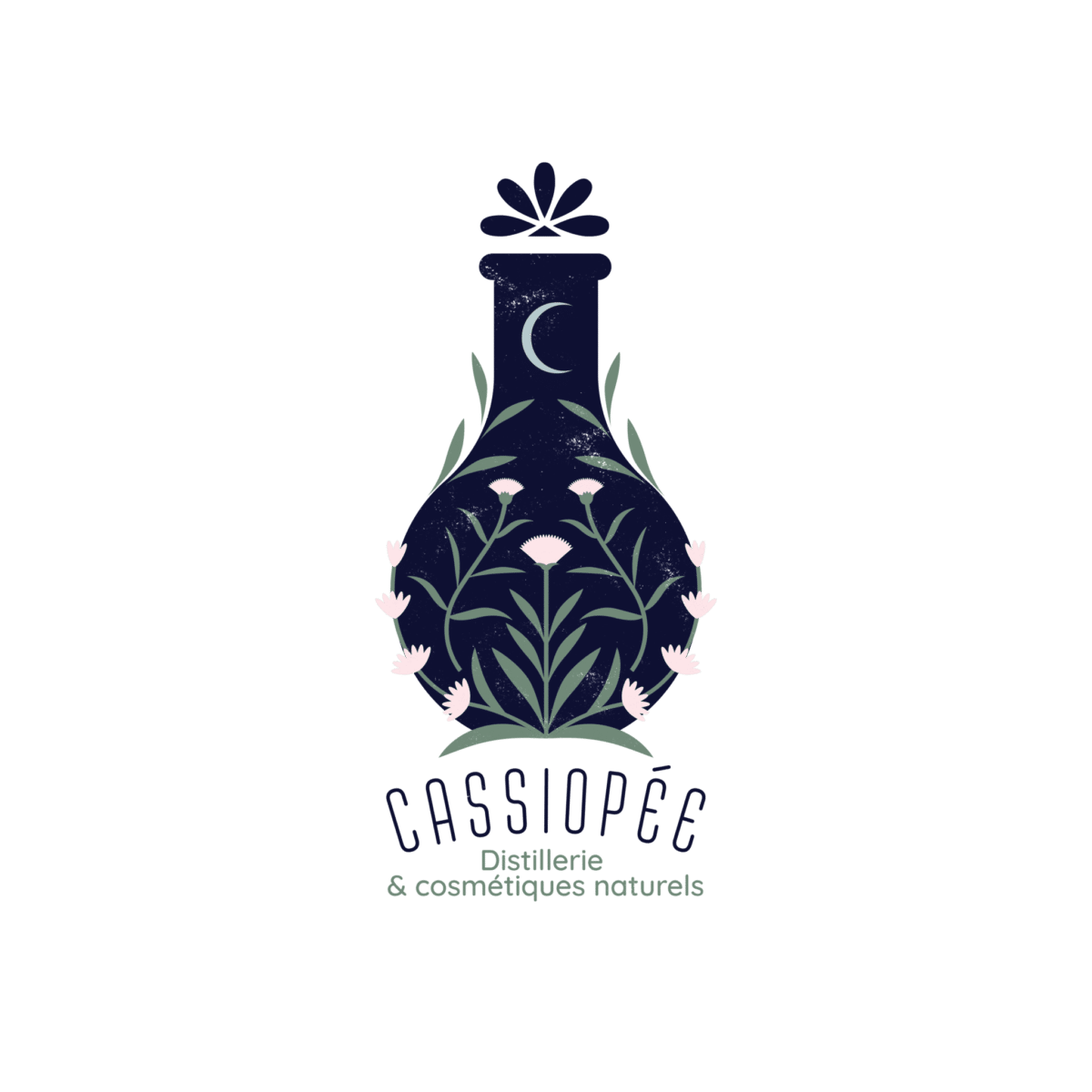 CASSIOPEE LogoBaseline FondTransparent RVB - Cassiopée