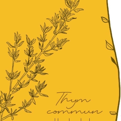 Thym, ferme Cassiopée