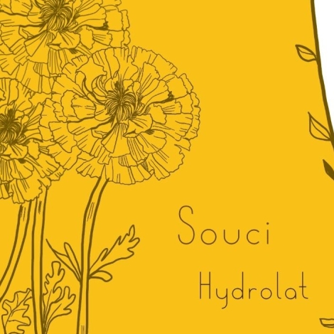 HYDROLAT SOUCI DE LA FERME CASSIOPEE