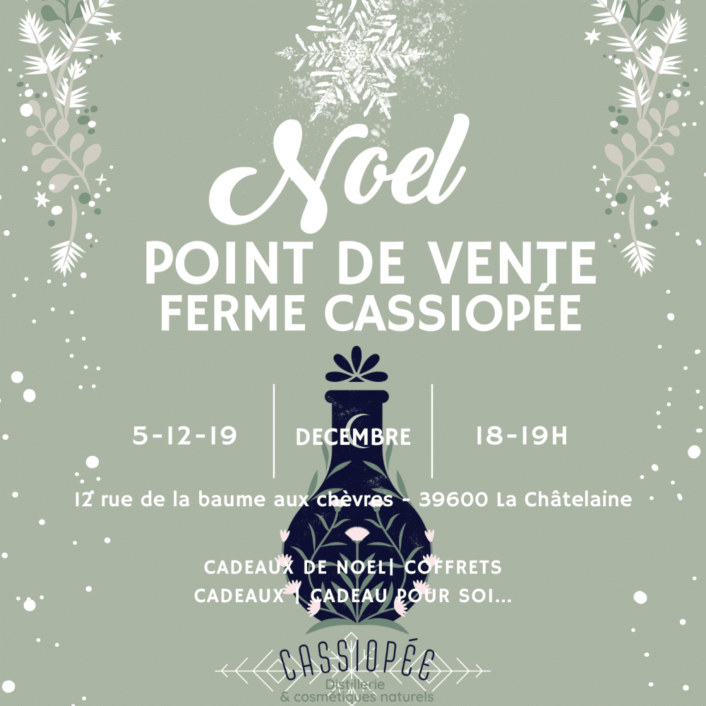 Green White Festive Christmas Party Invitation Flyer - Plant Shop - Phlox Elementor WordPress Theme